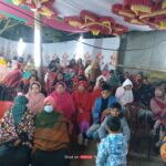 ত্রয়োদশ জাতীয় সংসদ নির্বাচনে চুয়াডাঙ্গার ২টি আসনে বিএনপি ও জামায়াতের ৪ প্রার্থীর হলফনামা।