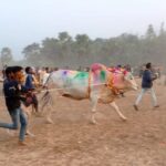 বাগেরহাট-২ আসনের স্বতন্ত্র প্রার্থী এম এ এইচ সেলিমের পক্ষে লিফলেট বিতরণ ও চুলকাটি প্রেসক্লাবের সাংবাদিকদের সাথে মত বিনিময় 