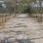 কালুখালীতে যু্বদলের আয়োজনে খালেদা জিয়ার আত্মার মাগফিরাত কামনায় দোয়া মাহফিল