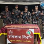 সাংবাদিকদের ‘পোষা কুকুর’ মন্তব্যে তোলপাড়, তোপের মুখে বক্তব্য প্রত্যাহার ড. বদিউল আলমের