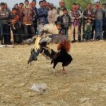 পাবনায় দুটি অস্ত্র, গুলি ও অস্ত্র তৈরির সরঞ্জামসহ আটক- ১