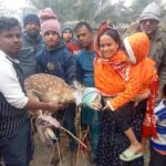 নবীনগরে মায়ের মৃত্যুর ৫ দিনের কুলখানি অনুষ্টানের প্রস্তুতিকালে বিদ্যুৎ স্পৃষ্ট হয়ে ছেলের মৃত্যু।