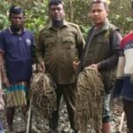 পাইকগাছায় জনবহুল জরাজীর্ণ সড়ক সংস্কার; এলাকায় স্বস্তির নিঃশ্বাস