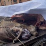 অপপ্রচারে কান না দিয়ে ধানের শীষের পক্ষে ঐক্যবদ্ধ থাকতে হবে…..লায়ন হারুনুর রশীদ