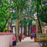 বেনাপোল সীমান্তে বিজিবির অভিযানে চোরাচালান পণ্য আটক 