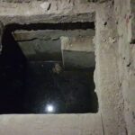 শ্যামনগরে বিজিবির অভিযানে অস্ত্রের ভাণ্ডার উদ্ধার, চোরাকারবারীরা পালালো সুন্দরবনে  