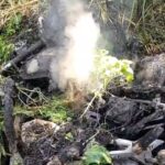 নিজ কেন্দ্রে ভোট দিলেন সাবেক স্বরাষ্ট্র প্রতিমন্ত্রী  লুৎফুজ্জামান বাবর