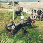 জাপানের জাইকার সহযোগিতায় সফটওয়্যার ও সাইবার সিকিউরিটিতে রাবিপ্রবিতে নতুন সম্ভাবনা