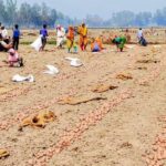 শাহরাস্তি প্রেসক্লাব-এর নতুন কমিটির দায়িত্ব গ্রহণ