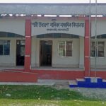 বেনাপোল বন্দরে মিথ্যা ঘোষণায় আমদানি করা মাছের চালান জব্দ