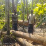 কালীগঞ্জে রান্নাঘর থেকে ২০ কেজি গাঁজা উদ্ধার আটক ১