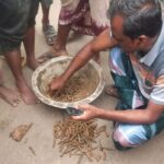 সিরাজগঞ্জে তেল সিন্ডিকেট রোধে জেলা ছাত্রদলের গণসংযোগ ও মতবিনিময়