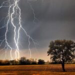 তাড়াশে অবৈধভাবে আবাদী জমি খনন দুই মিনি ড্রাম ট্রাক আটক