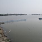 রাজনীতি করলে মানুষের কাছে যেতে হবে তাহলেই নেতা হতে পারবেন : লায়ন হেলাল 