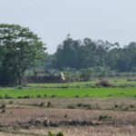 ঈদের আনন্দ ভাগাভাগি করার প্রয়াসে শতাধিক পরিবারের পাশে ‘অভিলাষ’