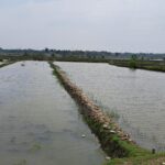 মধ্যপ্রাচ্যের সব মার্কিন ঘাঁটি গুঁড়িয়ে দেওয়ার দাবি ইরানের