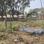 দেবীগঞ্জে শিশু ধর্ষনের অভিযোগে সাব রেজিস্ট্রার অফিসের নৈশ্য প্রহরী রাকিব আটক