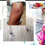 দক্ষিণ বঙ্গপসাগর উপকূলীয় অঞ্চল থেকে আত্মসমর্পণকৃত ১২৭ জন আলোর পথের অভিযাত্রীদের মাঝে মহা-পরিচালক র‌্যাব ফোর্সেস এর পক্ষ থেকে পবিত্র ঈদ-উল-ফিতর ২০২৬ উপলক্ষে উপহার সামগ্রী বিতরণ