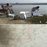 ভয়ঙ্কর মুখোমুখি সংঘর্ষ: তারাগঞ্জের সড়কে ট্রাক দুমড়ে-মুচড়ে নিহত-২