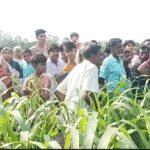 চিলমারীতে “বাংলাদেশ নূরানী অ্যাসোসিয়েশন বৃত্তি সংবর্ধনা”- ২০২৫ অনুষ্ঠিত হয়েছে। 