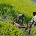 আদমদীঘিতে মাধ্যমিক পরীক্ষার্থীদের বিদায় অনুষ্ঠান