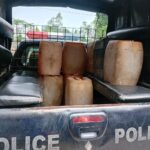 পাইকগাছায় লবণাক্ত পানির অনুপ্রবেশ প্রতিরোধে ক্যাম্পেইন ও র‌্যালি অনুষ্ঠিত