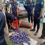 হাটহাজারীতে খাল খনন কাজ পরিদর্শনে প্রধানমন্ত্রীর মুখ্যসচিবসহ ঊর্ধ্বতন কর্মকর্তারা