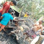 চিরিরবন্দরে লিচুর বাগানে ‘মধু বিপ্লব’।