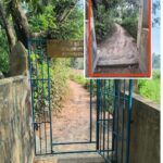 পলাশবাড়ীতে বসতবাড়ীতে ভয়াবহ অগ্নিকান্ড ১০ লক্ষাধিক টাকার ক্ষতি সাধন