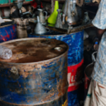 ডিমওয়ালা মা মাছ রক্ষায় নেত্রকোনায় মানববন্ধন