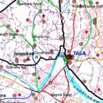 ফরিদগঞ্জে জমি সংক্রান্ত বিরোধের জেরে বৃদ্ধা মহিলার ওপর নৃশংস হামলা, থানায় অভিযোগ