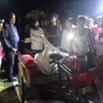 জয়পুরহাটে শোরুমে চাঁদাবাজির অভিযোগে গালকাটা ইব্রাহিম গ্রেফতার