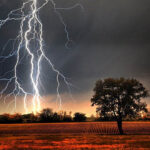 পাইকগাছায় জাতীয় পুষ্টি সপ্তাহের সমাপনী ও পুরস্কার বিতরণী অনুষ্ঠিত