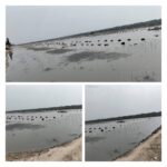 শাহবাগের ফুটপাতে থাকা সেই অসহায় নবীনগরের গোলাপিকে নতুন বাড়ি দিলেন প্রধানমন্ত্রী তারেক রহমান। 