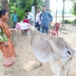 সদরপুরে অবৈধভাবে মাটি কাটার দায়ে ১ লাখ টাকা জরিমানা