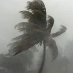 ব্রাহ্মণবাড়িয়ায় নিখোঁজের দুই দিন পর স্কুল শিক্ষার্থী নিশাতের (৬) বস্তাবন্দি মরদেহ উদ্ধার।