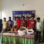 চিরিরবন্দরে ৮৩০ খামারির মাঝে ডেইরি উপকরণ বিতরণ।