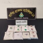 শ্যামনগরে সুন্দরবন সুরক্ষায় আর্থস্কাউট স্কুল ক্যাম্পেইন