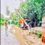 বেনাপোলে ধান্যখোলা এলাকায় বিজিবি ও র‍্যাবের যৌথ অভিযানে ২১৭ বোতল ভারতীয় ফেনসিডিল সহ আটক-২
