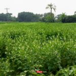 তথ্য অধিকার আইন সাংবাদিকদের সবচেয়ে শক্তিশালী হাতিয়ার:- উপপ্রধান তথ্য অফিসার 