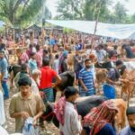 শাহরাস্তি উপজেলা আইন-শৃঙ্খলা কমিটির সভা অনুষ্ঠিত