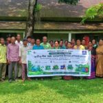 পাথরঘাটায় এজলাসে দুই আইনজীবীর হাতাহাতি, সদস্যপদ স্থগিত