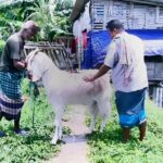 হাটহাজারীতে জাগৃতি গোল্ডকাপ ফুটবল টুর্নামেন্টে পতেঙ্গা যুব সংঘ চ্যাম্পিয়ন
