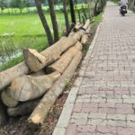 তেঁতুলিয়া নদীর ভাঙনে দশমিনায় হুমকির মুখে দুই সহস্রাধিক পরিবার