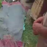 পলাতক খুনী হাসিনার ফ্যাসিবাদী রাজনীতি বাংলাদেশে আর চলবে না :- জিয়াউর রহমান জিয়া 
