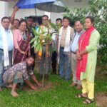 সনাক কুমিল্লার উদ্যোগে বিশ্ব পরিবেশ দিবস ২০২৬ উদযাপন।