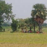 টাঙ্গাইলে ৫ম শ্রেণির শিক্ষার্থীকে ধর্ষণ চেষ্টার অভিযোগে যুবক গ্রেপ্তার