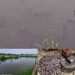 সাতক্ষীরাবাসীকে ‘ধর্মান্ধ’ আখ্যায়িত করার অভিযোগে ওলামা মাশায়েখ পরিষদের প্রতিবাদ