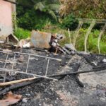 সুন্দরবন রক্ষায় লং মার্চ ফর ফরেস্ট