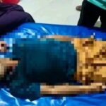 ইস্ট ডেল্টা ইন্টারন্যাশনাল ইউনিভার্সিটি পরিদর্শন করলেন কৃষি এবং মৎস্য ও প্রাণিসম্পদ মন্ত্রী মোহাম্মদ আমিন উর রশিদ